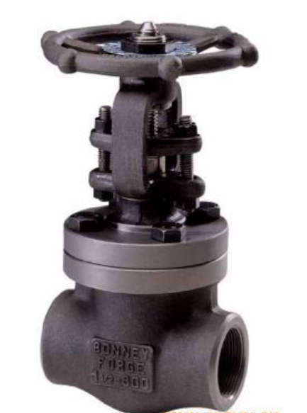 美國(guó)Bonney閥門