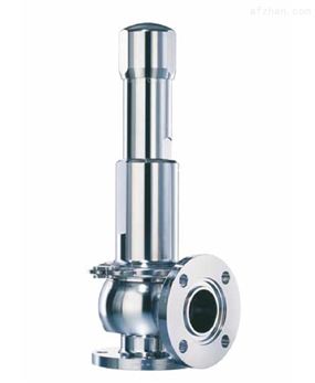 德國進(jìn)口leser安*閥銷售