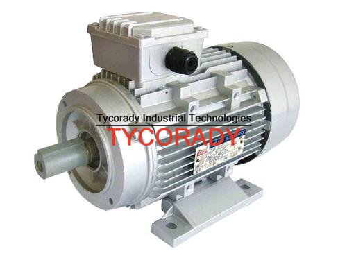 德國(guó)MAHLE電機(jī)