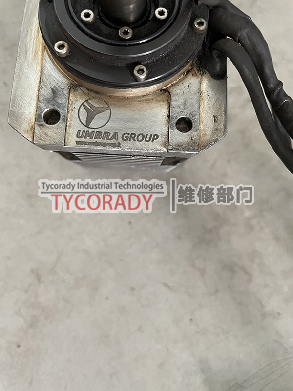 UMBRA GROUP電機(jī)維修成功案例