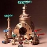 美國(guó)SCHIENLE閥