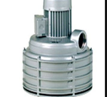 德國(guó)Elmo Rietschle離心風(fēng)機(jī)