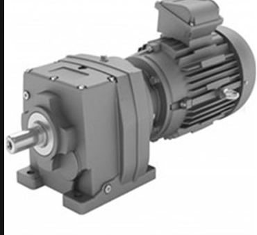 英國radicon齒輪電機(jī)