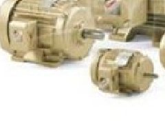 美國C.E. Niehoff無刷發(fā)電機(jī)