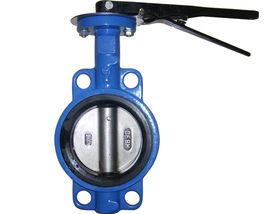 美國(guó)WILKERSON止回閥