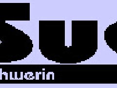 德國(guó)SuS彈性軸承