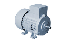 德國BIRKENBEUL專用電機(jī)